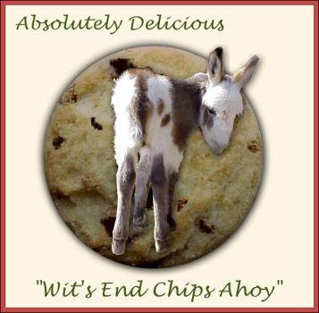 Wits End Chips Ahoy
