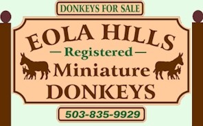 Eola Hills Registered Miniature Donkeys