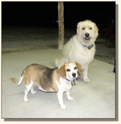 Ollie & Rosie - June 2004