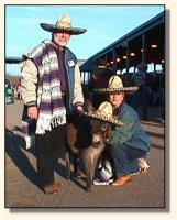 Skylar, Sandy, & Bob at the Volunteer Horse Fair 2002 (11,398 bytes)
