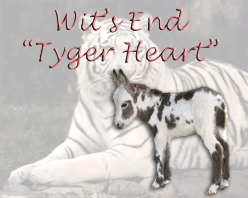 Wit's End Tyger Heart