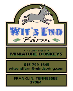 Welcome to Wit's End Farm Miniature Donkeys!