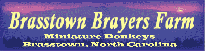 Brasstown Brayers Miniature Donkey Farm (9341 bytes)