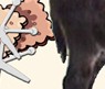 Wit's End Cracker Jack