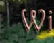 Wit's End Appalachian Foxfire