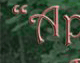 Wit's End Appalachian Foxfire