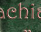 Wit's End Appalachian Foxfire