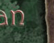 Wit's End Appalachian Foxfire