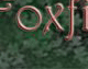 Wit's End Appalachian Foxfire