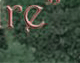 Wit's End Appalachian Foxfire
