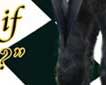 Wit's End Black Tie Affair