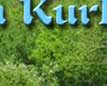Wit's End Lotta Kurb Appeal, aka Kurby