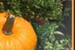Wit's End Miss Punkin Patch 2006