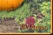 Wit's End Miss Punkin Patch 2006