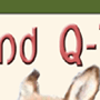 Wit's End Q-Tee Pie