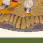 Wit's End Q-Tee Pie