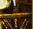 Wit's End Racer's Rembrandt