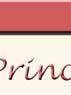 Princess
Shy-Anne