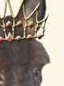 Princess
Shy-Anne
