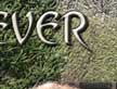 Spring Fever