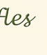 Wits End Truffles